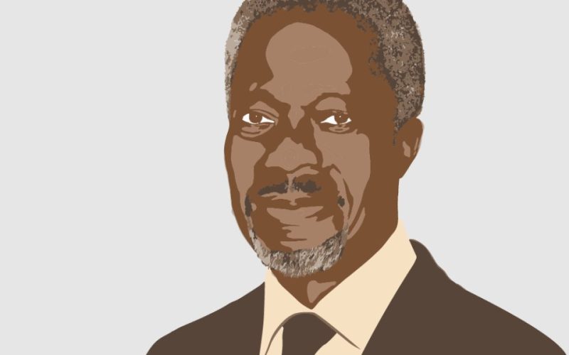 Kofi Annan Fellowship